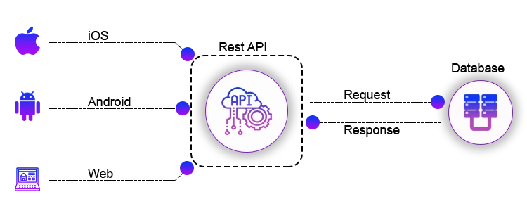 api-dream