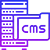 cms development service